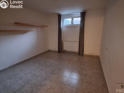 Rent apartment 2+1 Ústí nad Labem, Alešova č. 9