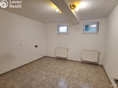 Rent apartment 2+1 Ústí nad Labem, Alešova č. 10