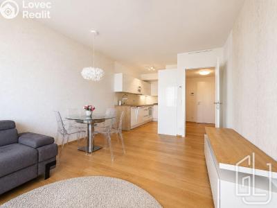 Rent apartment 2+KK Praha, Hodonínská č. 1