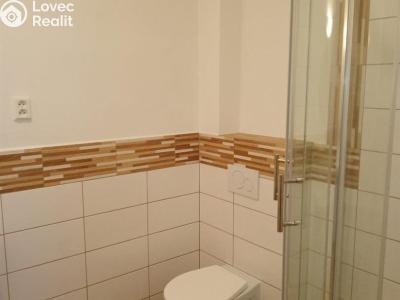 Rent apartment 2+KK Mlečice č. 6