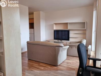 Rent apartment 1+KK Praha č. 3