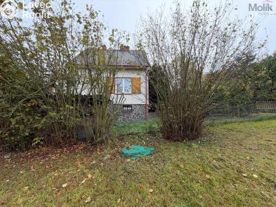 Sale hut Nepomyšl č. 29