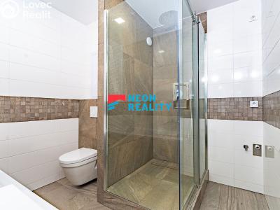 Rent apartment 3+1 Frýdek-Místek, Dr. M. Tyrše č. 6