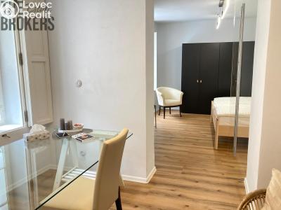Rent apartment 2+1 Praha, Nový Svět č. 9
