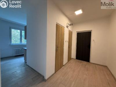 Pronájem bytu 2+1 Bílina, Sídliště U Nového nádraží 688 č. 3