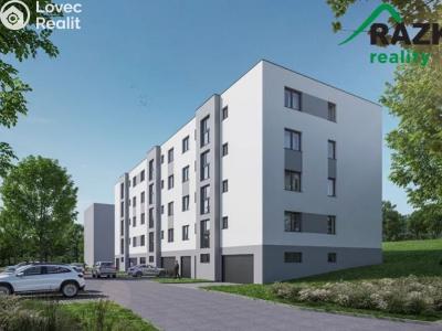 Sale apartment 3+KK Tachov, Palackého č. 9