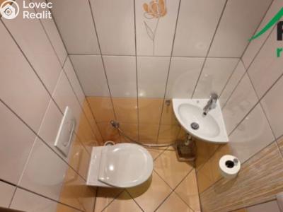 Pronájem bytu 2+1 Planá, Fučíkova č. 11
