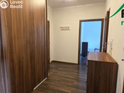 Pronájem bytu 2+1 Planá, Fučíkova č. 13