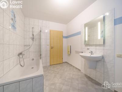 Продажа семейного дома Oloví č. 9