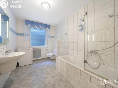 Продажа семейного дома Oloví č. 10
