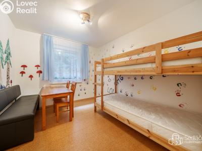 Продажа семейного дома Oloví č. 13