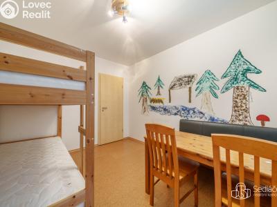 Продажа семейного дома Oloví č. 14