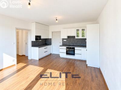 Sale apartment 4+KK Liberec, Aloisina výšina č. 2