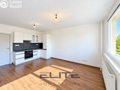 Sale apartment 4+KK Liberec, Aloisina výšina č. 11