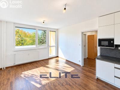 Sale apartment 4+KK Liberec, Aloisina výšina č. 12