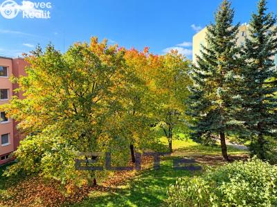 Sale apartment 4+KK Liberec, Aloisina výšina č. 32