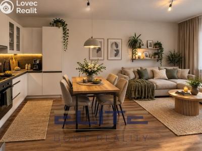 Sale apartment 4+KK Liberec, Aloisina výšina č. 33