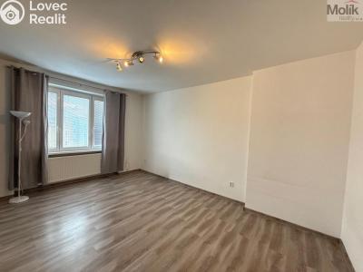 Pronájem bytu 2+KK Litvínov, Vinohradská 979 č. 7