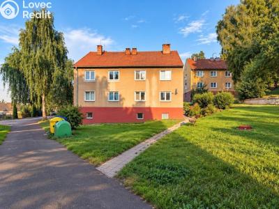 Prodej bytu 1+1 Litvínov, Horská 300 č. 1