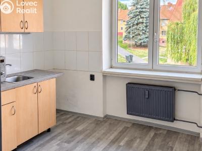 Prodej bytu 1+1 Litvínov, Horská 300 č. 2