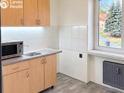 Prodej bytu 1+1 Litvínov, Horská 300 č. 9