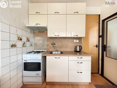 Rent apartment 3+1 Teplice, Hlávkova 1383 č. 2