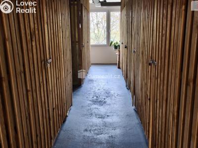 Sale apartment 2+KK Plzeň, Hodonínská č. 23