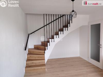 Pronájem bytu 3+KK Děčín, Zelená č. 3