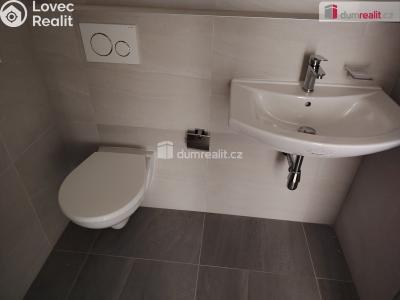 Pronájem bytu 3+KK Děčín, Zelená č. 7