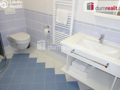Pronájem bytu 1+KK Valtice, Za radnicí č. 4