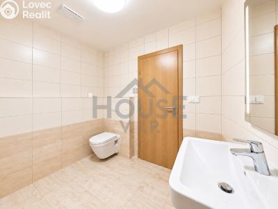 Sale apartment 1+KK Vestec, U Hrubých č. 18