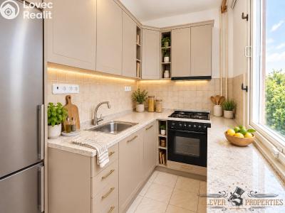 Sale apartment 3+1 Pardubice, Křičkova č. 5