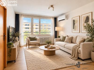 Sale apartment 3+1 Pardubice, Křičkova č. 7