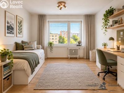 Sale apartment 3+1 Pardubice, Křičkova č. 9