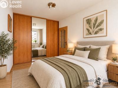 Sale apartment 3+1 Pardubice, Křičkova č. 11