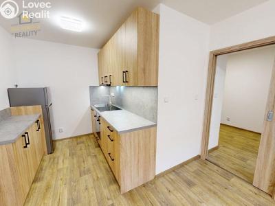Rent apartment 2+KK Mnichovo Hradiště, Jaselská 1158 č. 1