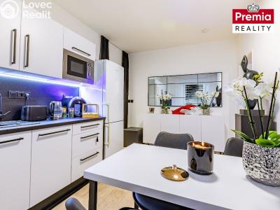 Sale apartment 1+1 Znojmo, Sadová č. 1