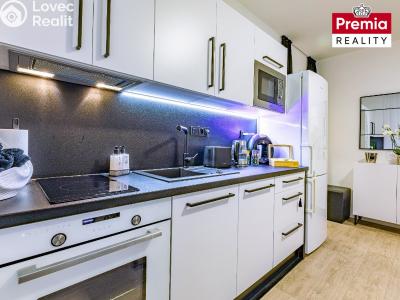 Sale apartment 1+1 Znojmo, Sadová č. 9