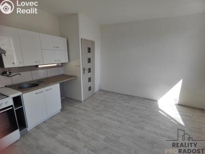Rent apartment 1+1 Chomutov, 17. listopadu č. 1