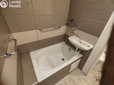 Rent apartment 1+1 Chomutov, 17. listopadu č. 4