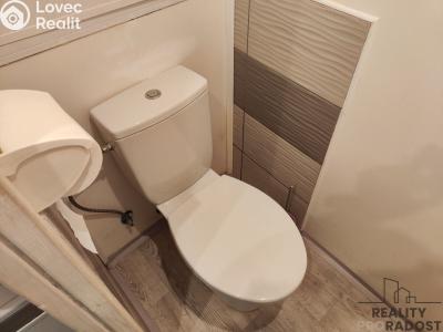 Rent apartment 1+1 Chomutov, 17. listopadu č. 5