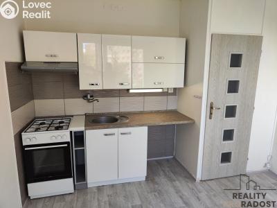 Rent apartment 1+1 Chomutov, 17. listopadu č. 6