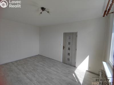 Rent apartment 1+1 Chomutov, 17. listopadu č. 9