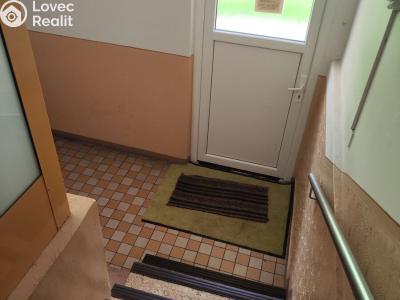 Rent apartment 1+1 Chomutov, 17. listopadu č. 16