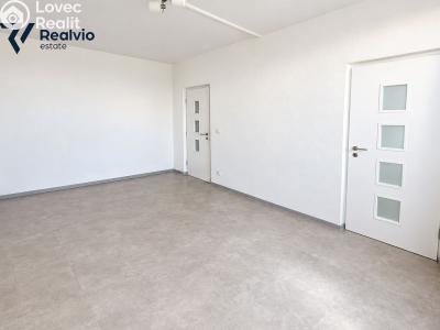 Prodej bytu 1+1 Brno, Haškova č. 6