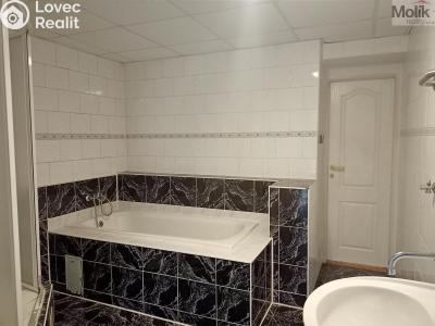 Продаж виробничого цеху Otvice, Polní 25 č. 18