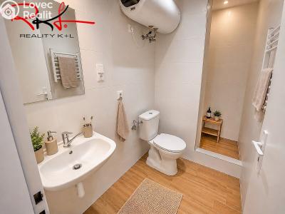 Sale apartment 1+KK Roudnice nad Labem, Havlíčkova č. 8