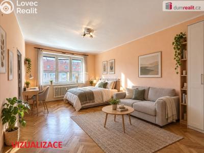 Sale apartment 1+1 Břeclav, Hájová č. 7
