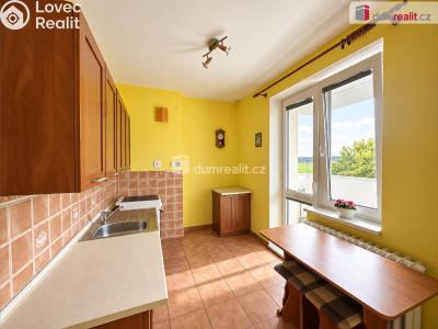 Sale apartment 1+1 Břeclav, Hájová č. 3