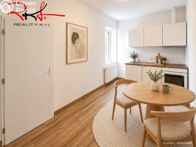 Sale apartment 3+KK Roudnice nad Labem, Havlíčkova č. 1